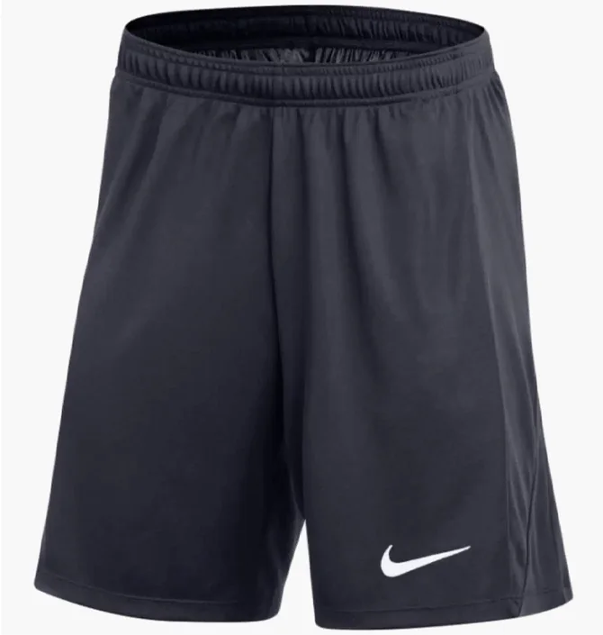Шорты мужские Nike Dri-Fit Academy Pro Blue FD7610-451