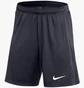Шорты мужские Nike Dri-Fit Academy Pro Blue FD7610-451