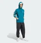 Худи мужское Adidas Adicolor Classics 3-Stripes Turquoise IZ2344