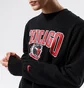 Свитшот мужской Nike Chi M Nk Flc Crew Cts 75 Nba Black DJ2797-010