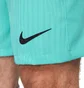 Шорты мужские Nike Shorts Fcb M Nk Dfadv Match Short 3R 2023/24 Turquoise DX9768-486