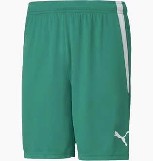 Шорти чоловічі Puma Teamliga Shorts Green 704924-05