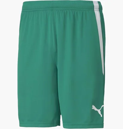 Шорти чоловічі Puma Teamliga Shorts Green 704924-05