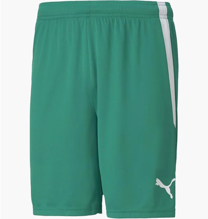 Шорти чоловічі Puma Teamliga Shorts Green 704924-05