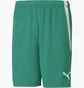 Шорти чоловічі Puma Teamliga Shorts Green 704924-05