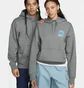 Худі унісекс Nike Sb Fleece Pullover Skate Hoodie Grey FQ2194-084