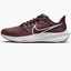 Кроссовки женские Nike Air Zoom Pegasus 39 Claret Brown Dh4072-600