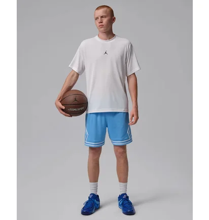 Футболка мужская Air Jordan Essentials Dri-Fit Grey IF0882-100
