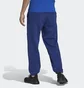 Штаны мужские Adidas Sportswear Future Icons Logo Graphic Pants Blue H39799