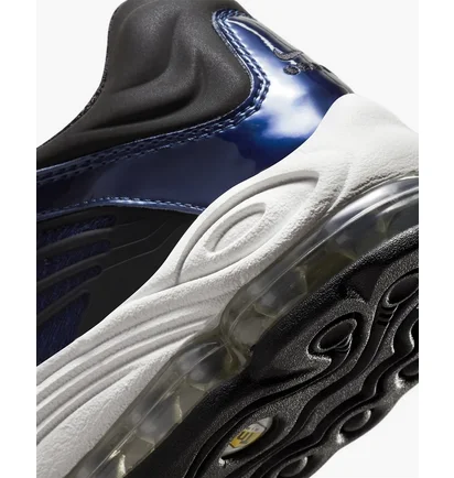Кросівки чоловічі Nike Air Tuned Max Blue DC9391-400