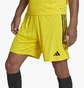 Шорти чоловічі Adidas Shorts Tiro 23 Sho Yellow IB8085