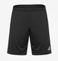 Шорты мужские Adidas Entrada 22 Training Shorts Black HB0575