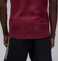 Футболка мужская Air Jordan 23Engineered Bordo DQ7358-680