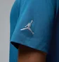 Футболка мужская Air Jordan Embroidered Crew Light Blue DM3182-457