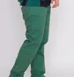 Штаны мужские Ripndip Barry Bonds Pants Green RND9723