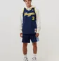 Майка чоловіча Mitchell & Ness Nba Swingman Jersey Denver Nuggets 2006-2007 Allen Iverson Blue Smjy4205-Dnu06Aivasbl