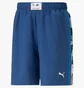 Шорты мужские Puma Bmw M Statement 85 Blue 538401-04