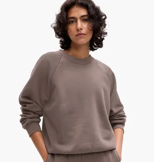 Світшот жіночий Gap Crewneck Logo Raglan Sweatshirt Brown 765585-04