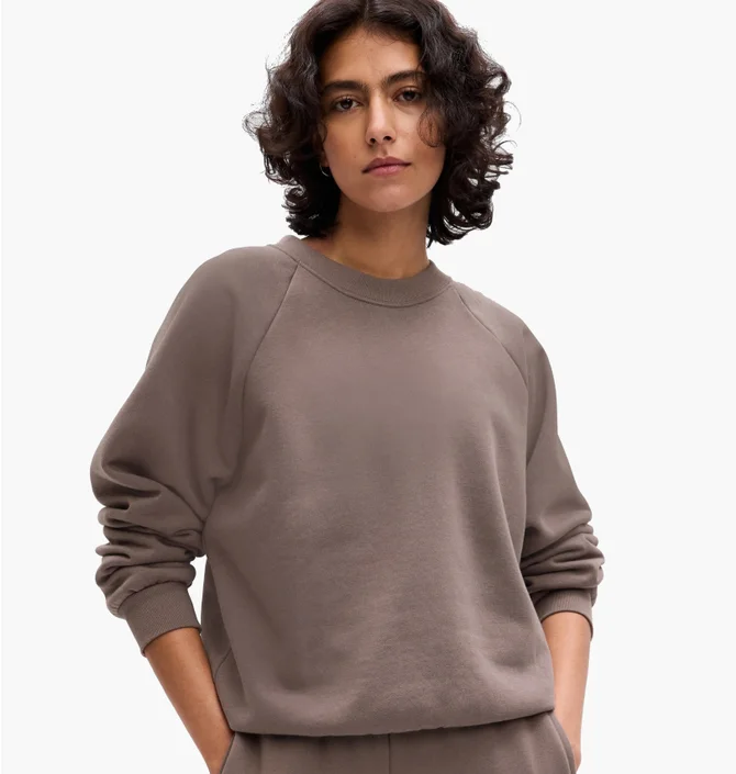 Світшот жіночий Gap Crewneck Logo Raglan Sweatshirt Brown 765585-04
