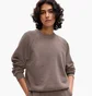 Світшот жіночий Gap Crewneck Logo Raglan Sweatshirt Brown 765585-04