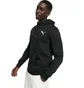 Худи мужское Puma Essentials Black 586690-51