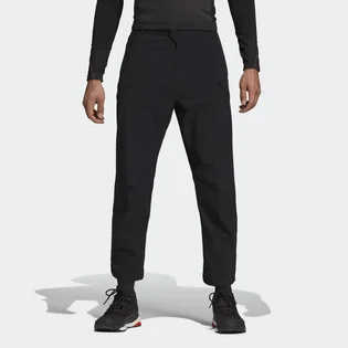 Штаны мужские Adidas Terrex Hike Black DZ2042
