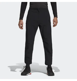 Штаны мужские Adidas Terrex Hike Black DZ2042