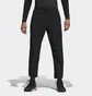 Штаны мужские Adidas Terrex Hike Black DZ2042