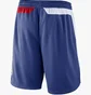 Шорты мужские Nike Nba Swingman Los Angeles Clippers Icon Edition Black AJ5614-495