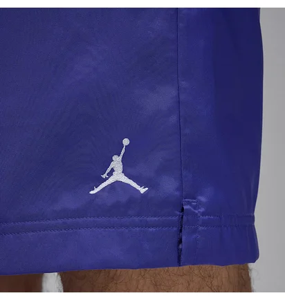 Шорты мужские Air Jordan Poolside Violet HF9371-543