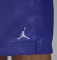 Шорты мужские Air Jordan Poolside Violet HF9371-543