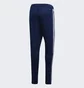Штаны мужские Adidas Tiro 19 Blue DT5174