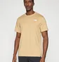 Футболка мужская The North Face Evolution Box Beige NF0A8B6KBOX